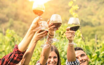 Wine in the Age of Innovation: High Technology in Modern Winemaking